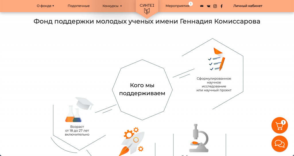 Фонд поддержки молодых ученых, скриншот 5